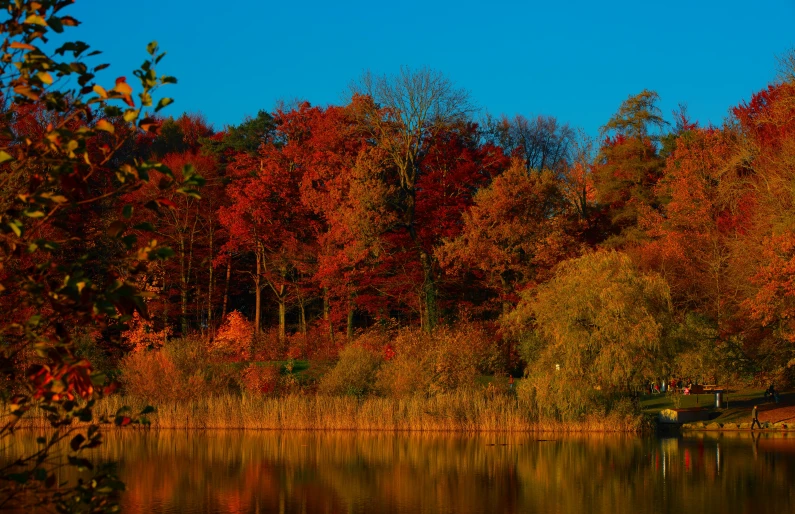 an autumn forest is seen in the foreground with autumn foliage