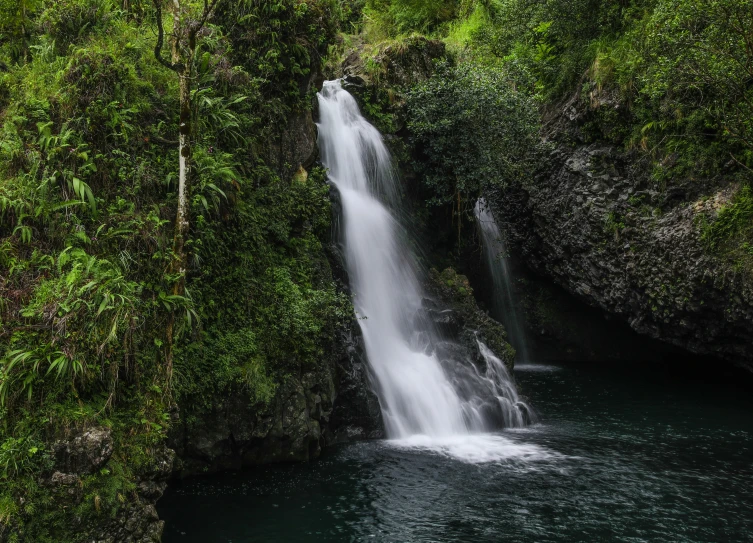 a waterfall in the middle of some trees