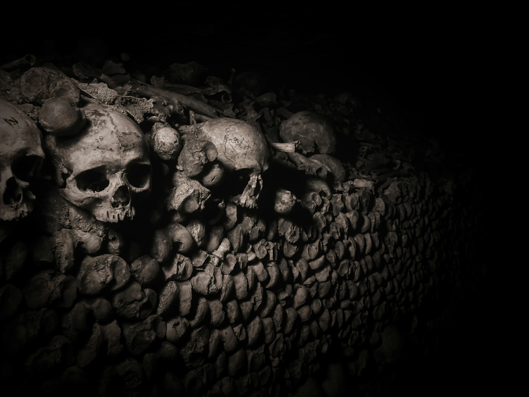 skulls line the side of a brick wall