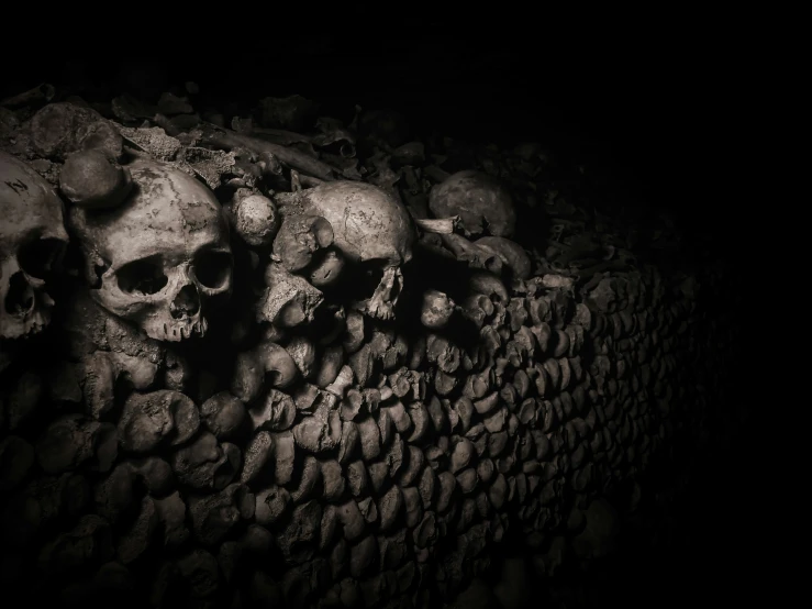 skulls line the side of a brick wall