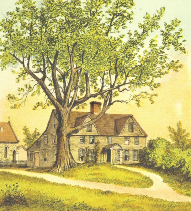 a house on a hill with a tree in the foreground