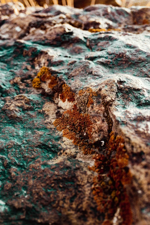 a stone outcrop with moss growing on it