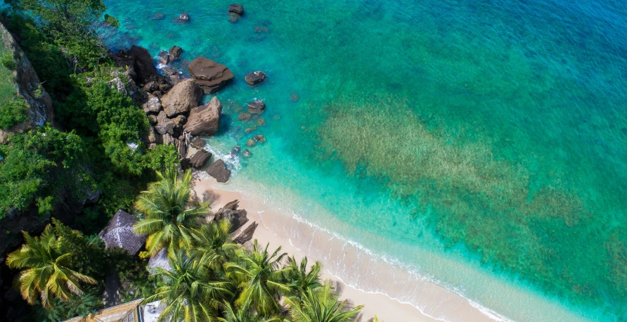 an overhead s of the beach and trees