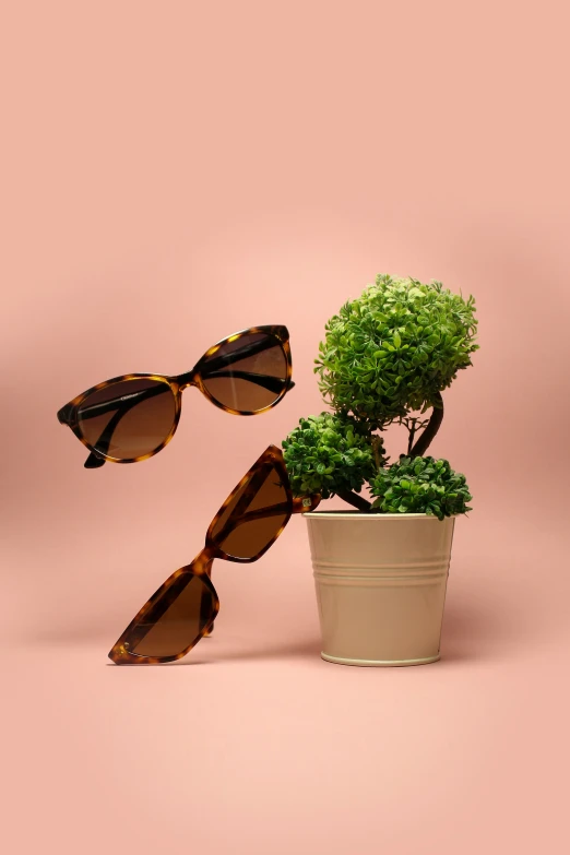 a potted plant next to two large sunglasses on top of a pink surface