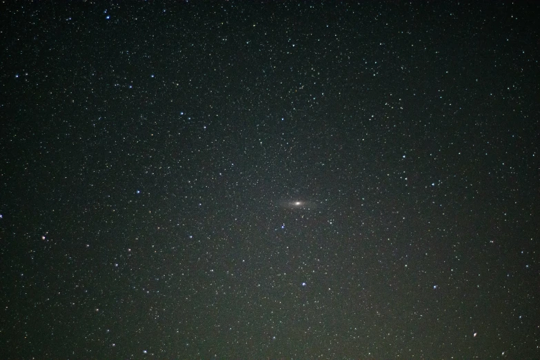 a lone tree is surrounded by some very small stars