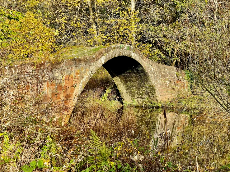 an old brick tunnel in the middle of the forest