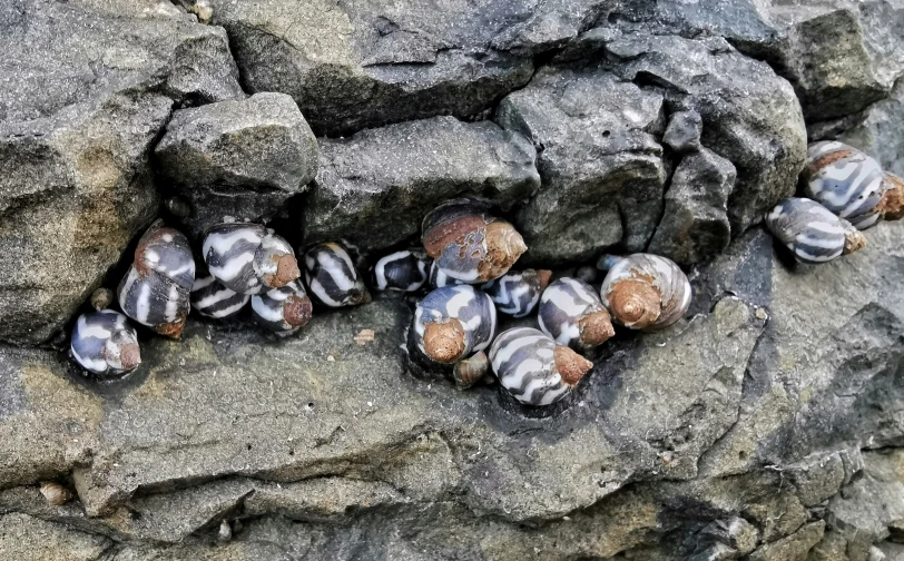 the rock is made up of small gray rocks