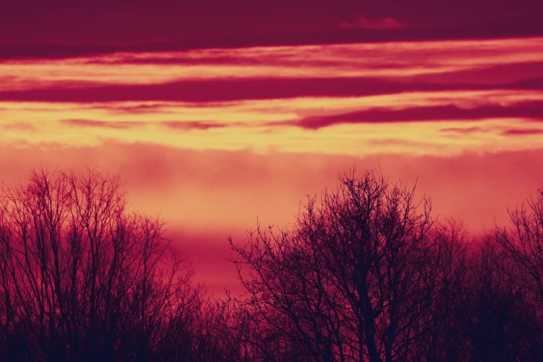 a po taken through trees, red sky with light clouds