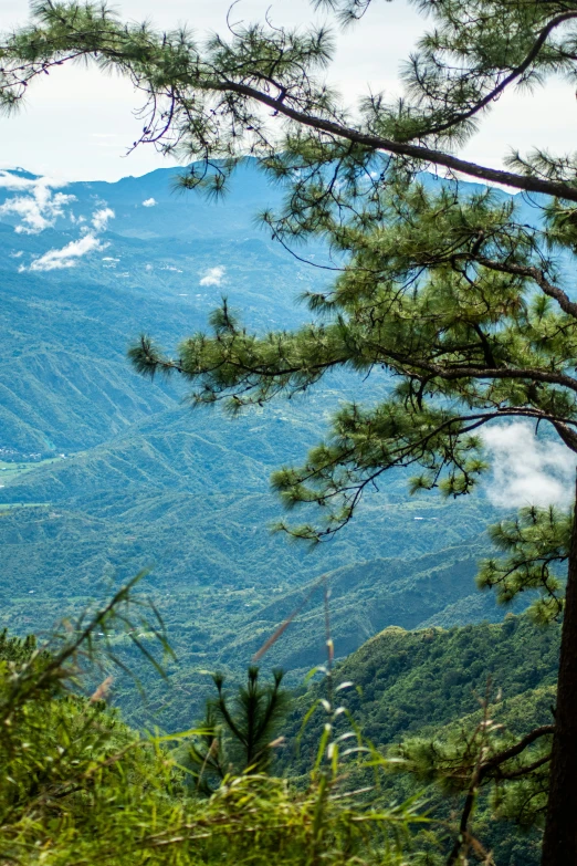 a lone white horse on top of a mountain