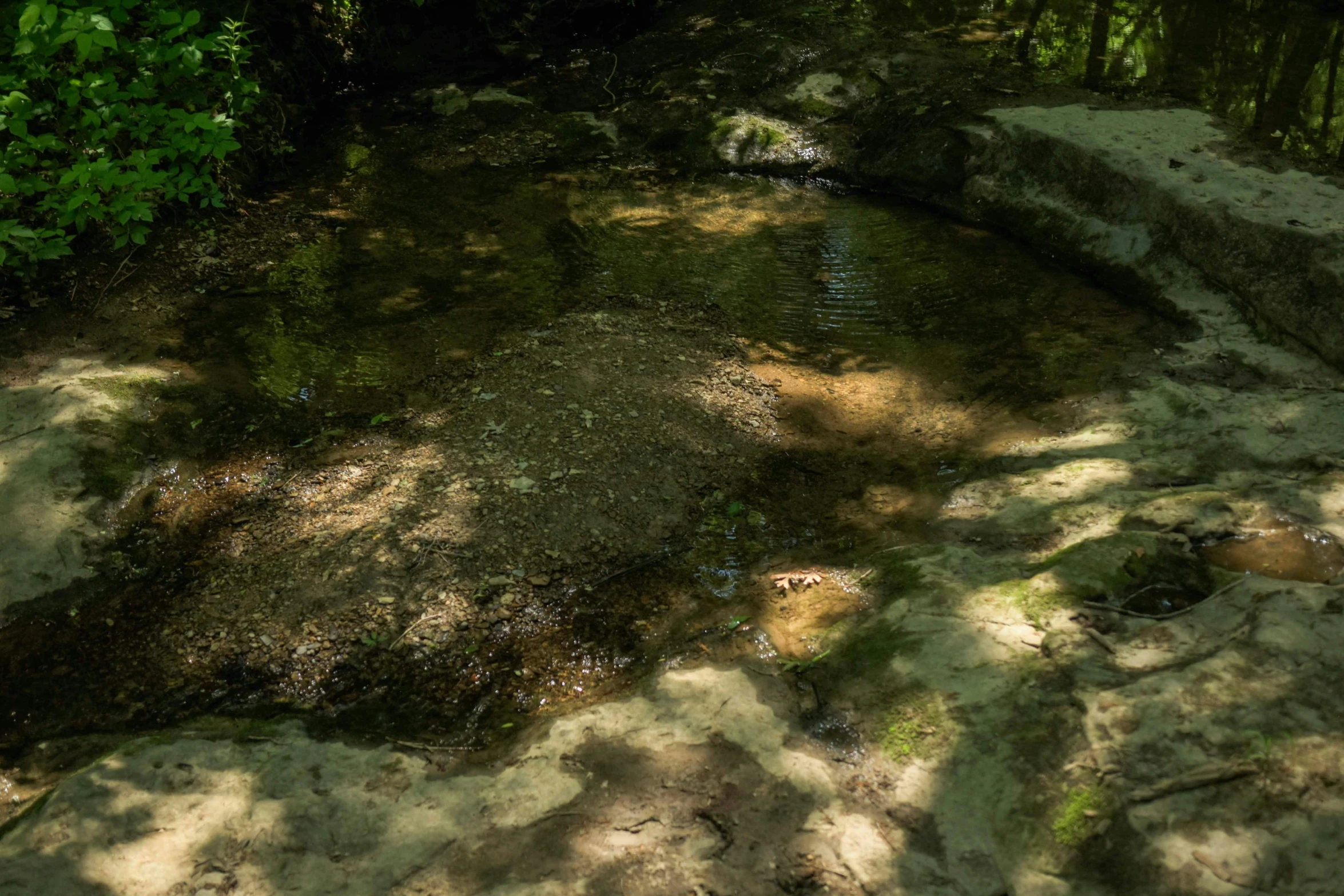 the stream is flowing through a very shady area