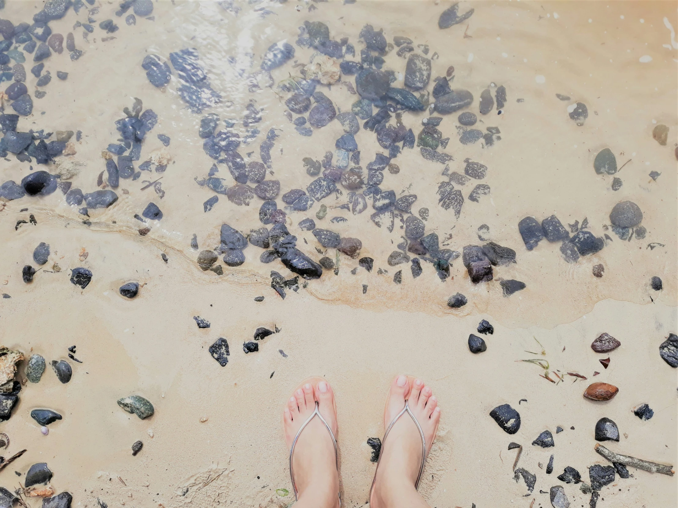 person's feet in sand on beach with shells