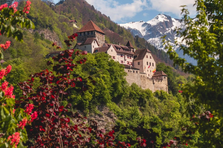 a building sits on the hill with snow covered mountains behind it