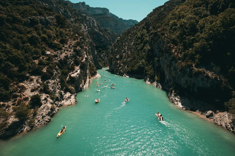 many boats are on the water and some trees