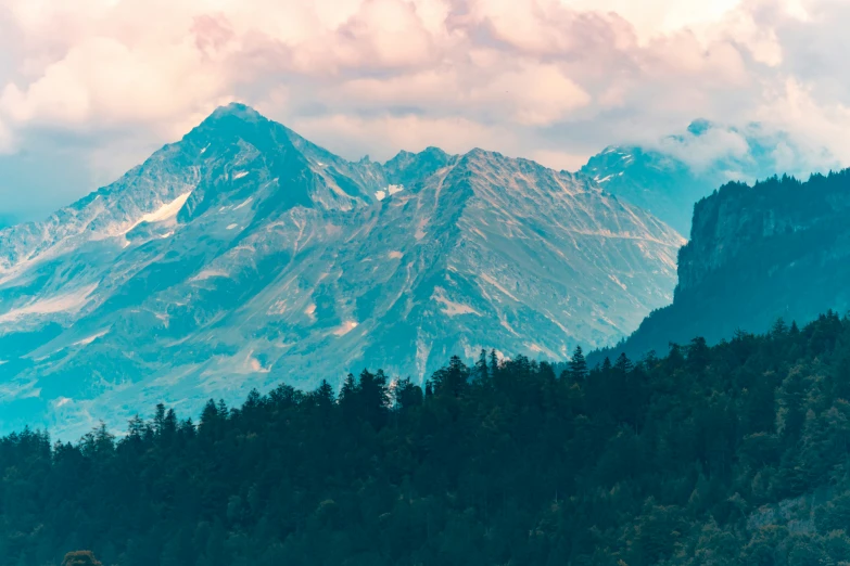 there are mountains that are in the middle of this forest