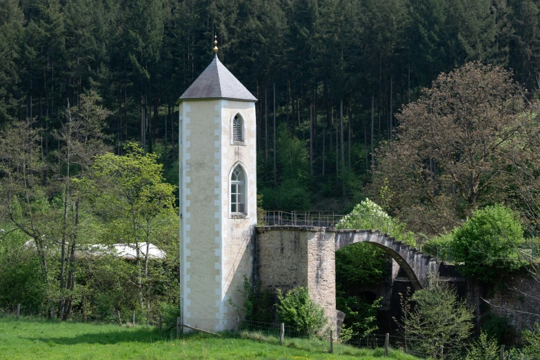 the clock tower is situated in the woods