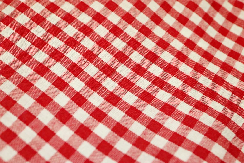 a checkered red table cloth is closeup