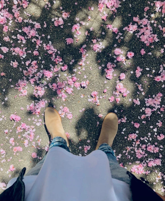 person walking on sidewalk with pink petals surrounding them