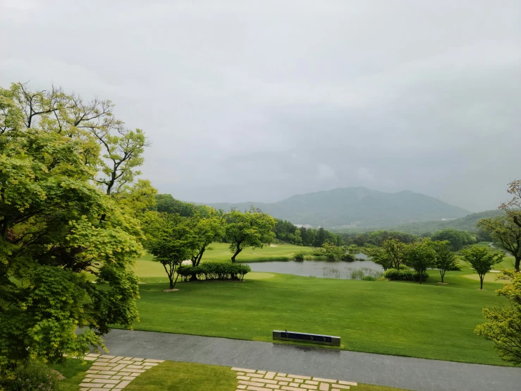 an outdoor park with water, trees and grass