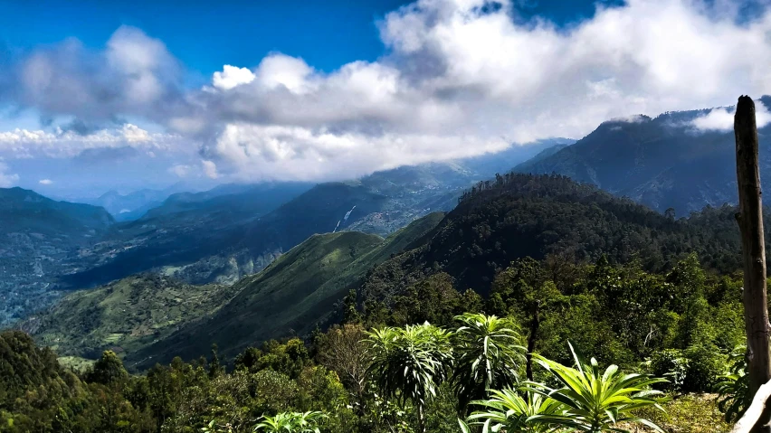 some mountains with trees, plants and clouds