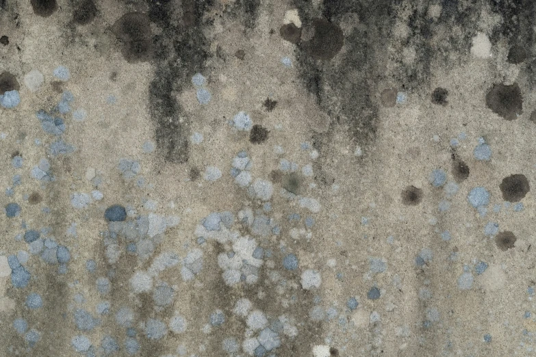 a gray wall with blue spots on it