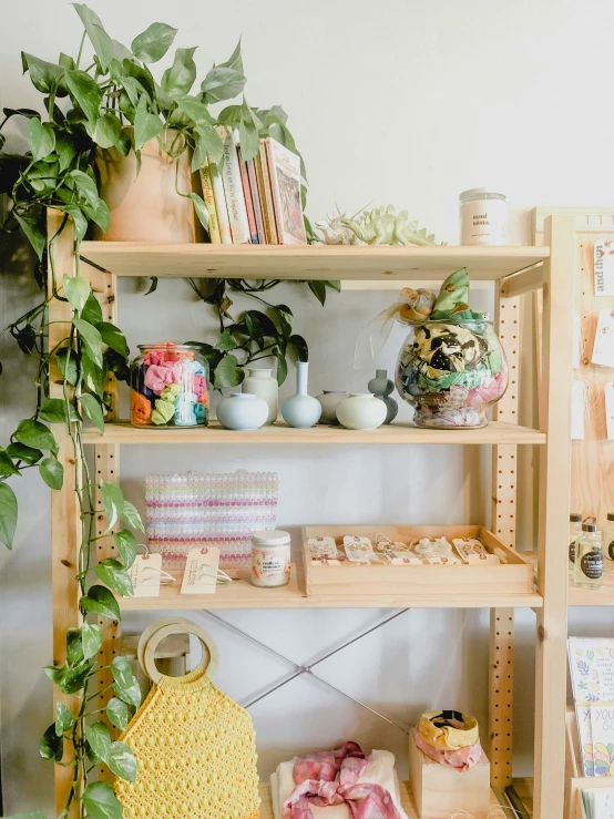 a variety of plant accessories and accessories on a shelf