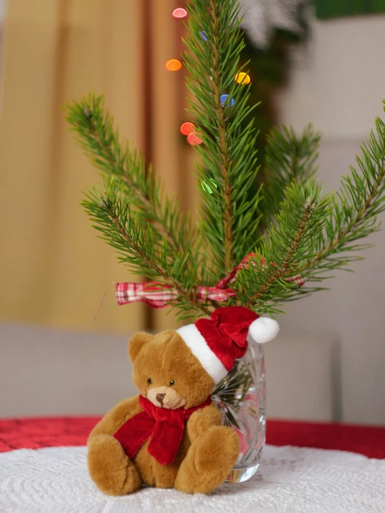 teddy bear in christmas hat sitting on table beside small pine tree