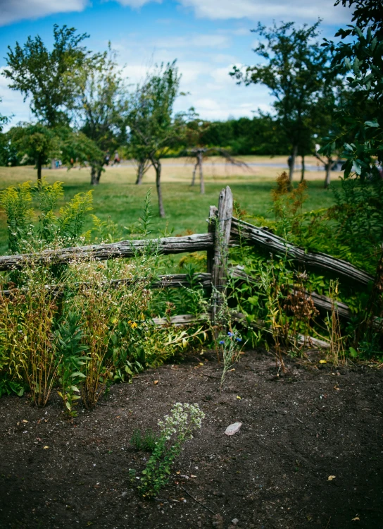 the old fence is standing alone in the country side