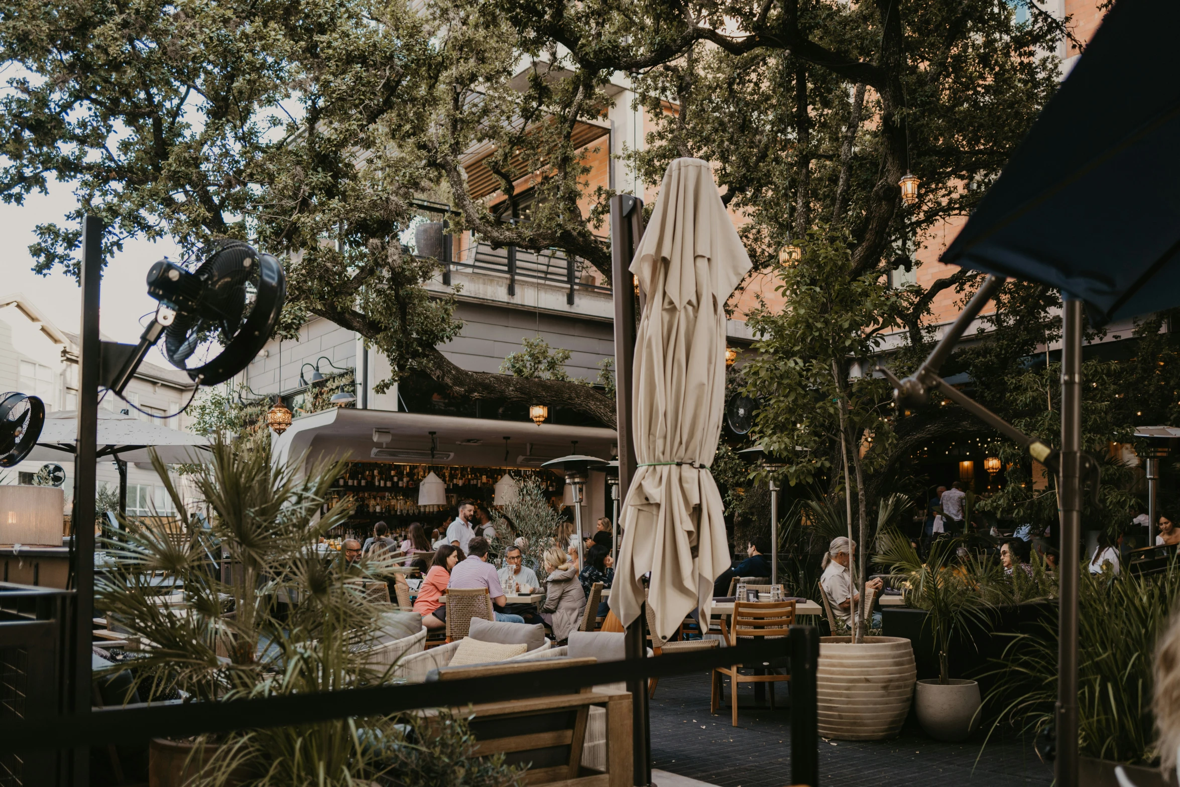 people are sitting at tables near trees outside