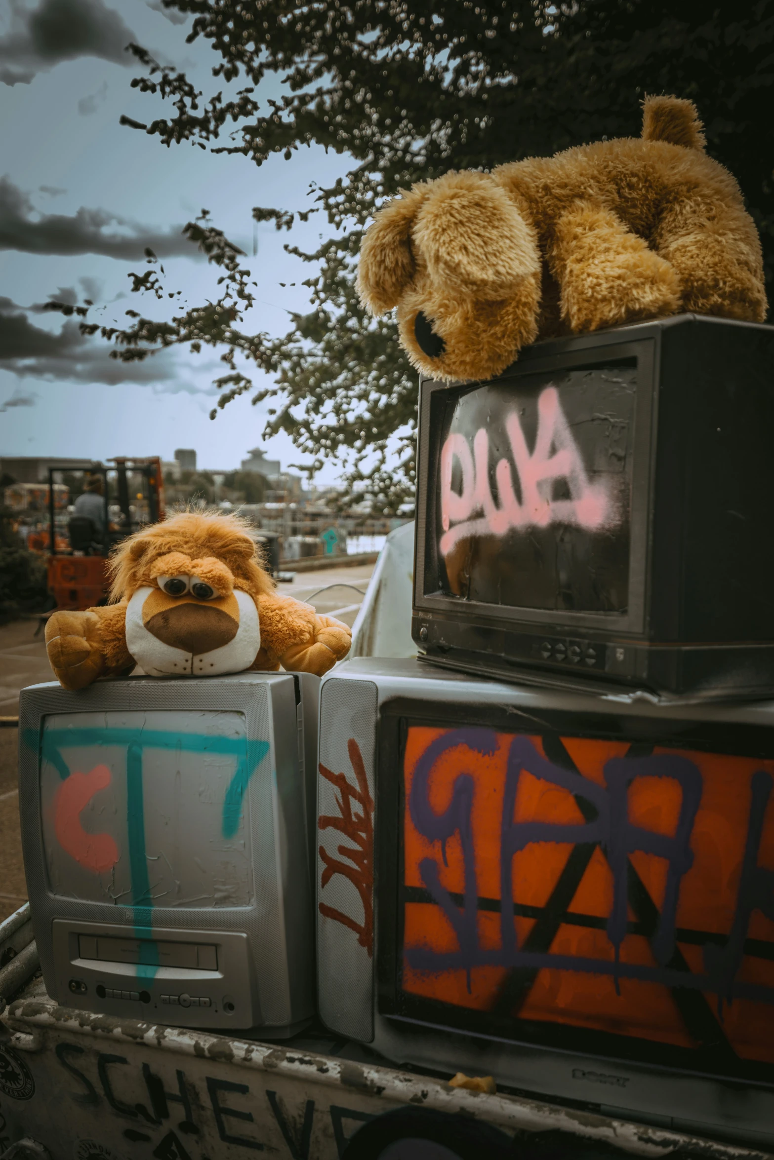 there is a teddy bear sitting in the back of the truck