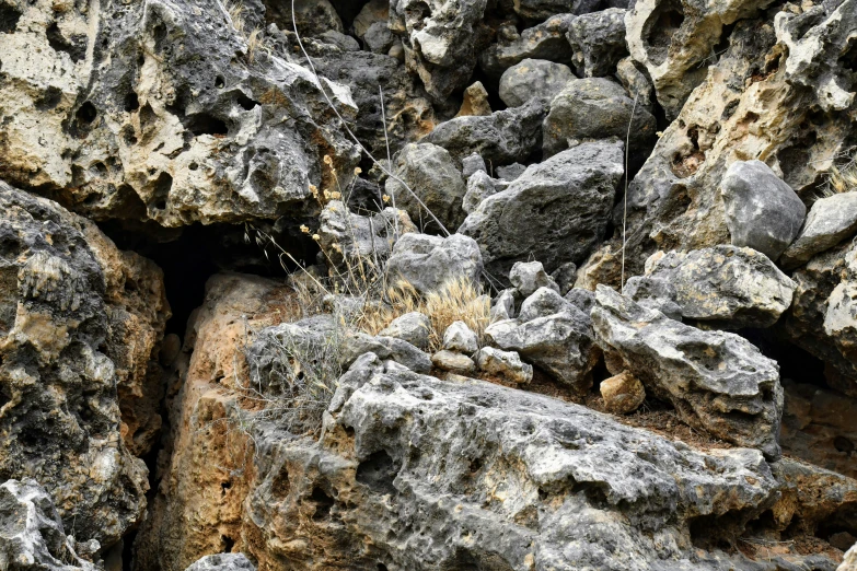 the grass growing through between several large rocks