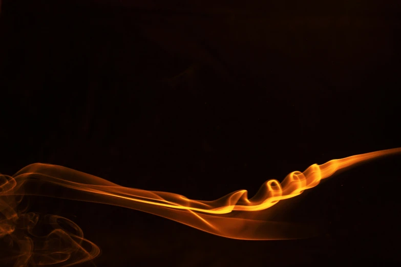 a pograph taken of a group of fire tongues