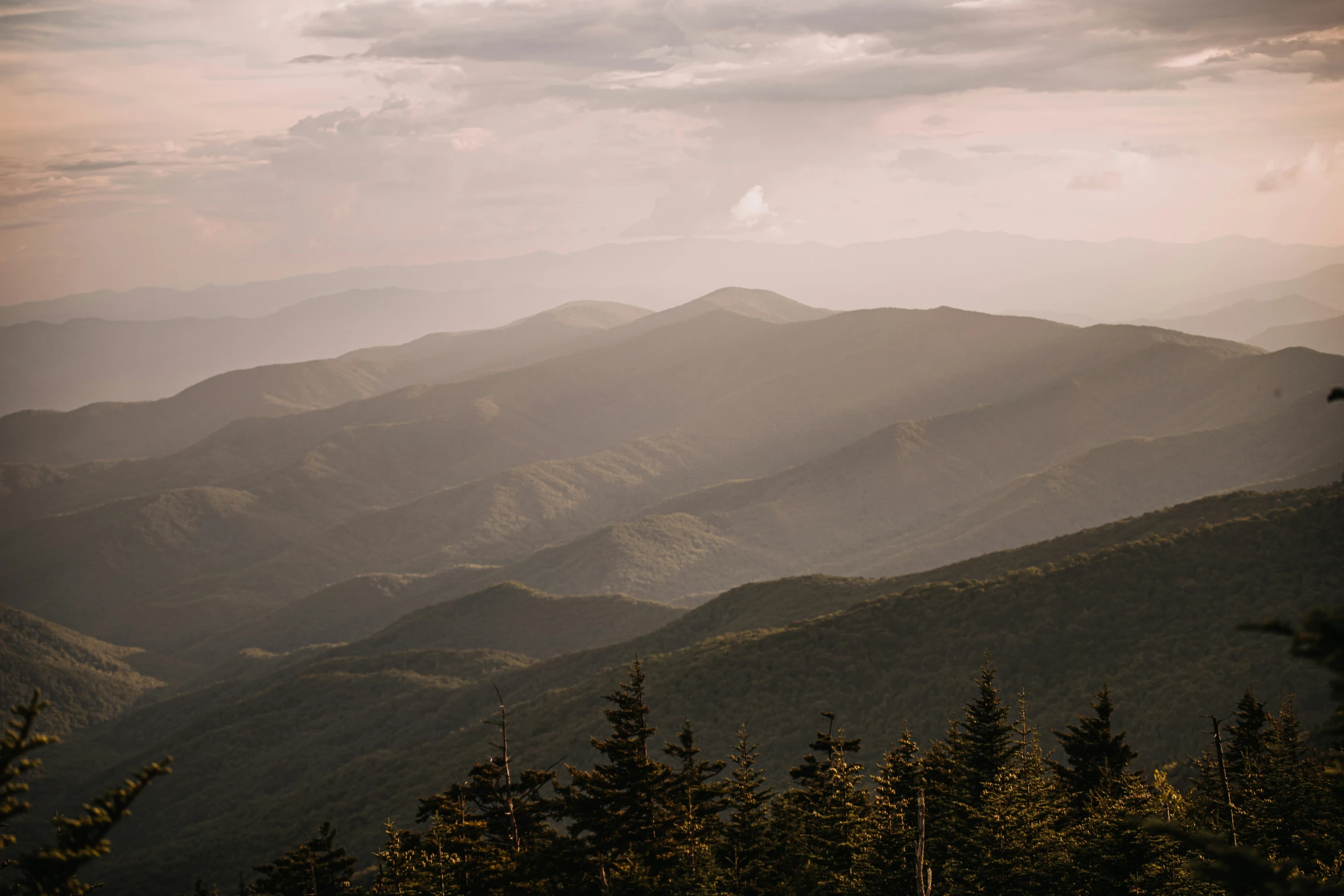 a mountain side overlook with some trees in the foreground