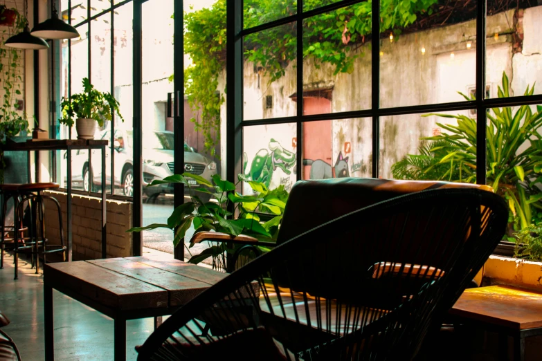 an empty coffee shop filled with plants and furniture