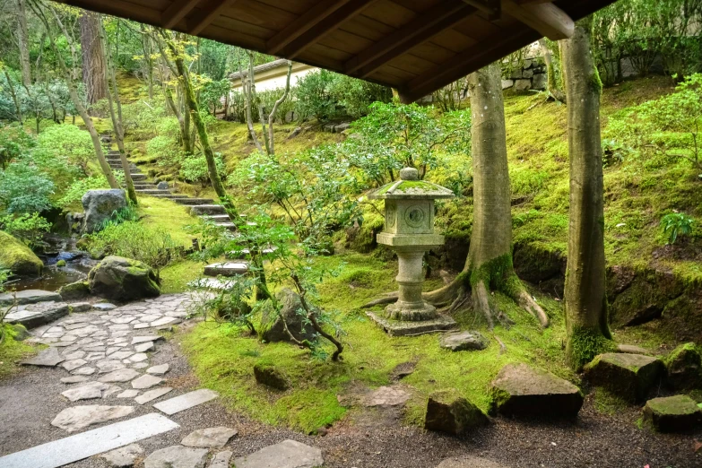 a view of an asian garden, with moss and stepping stones