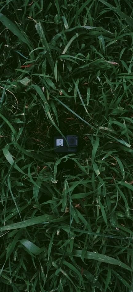 an area with green grass and small pieces of electronic device on it