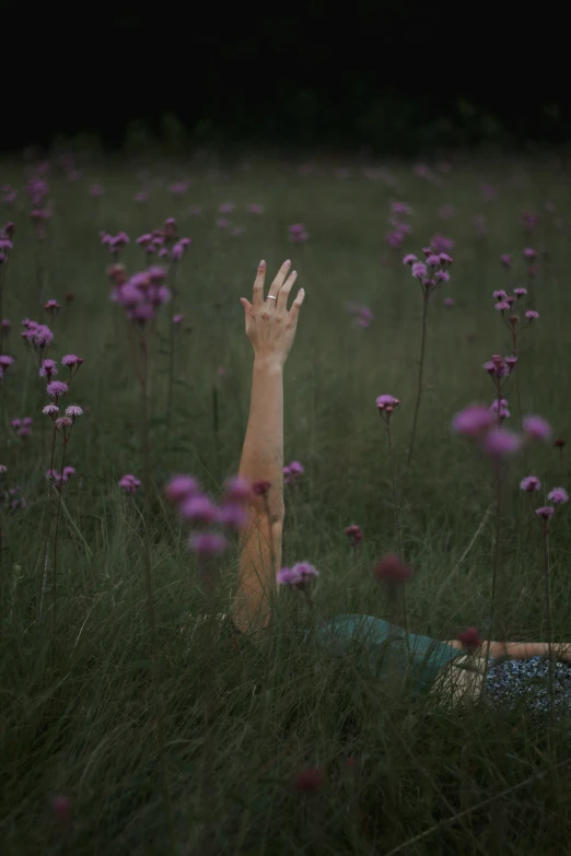 a hand reaching up above some flowers to help get closer to the camera