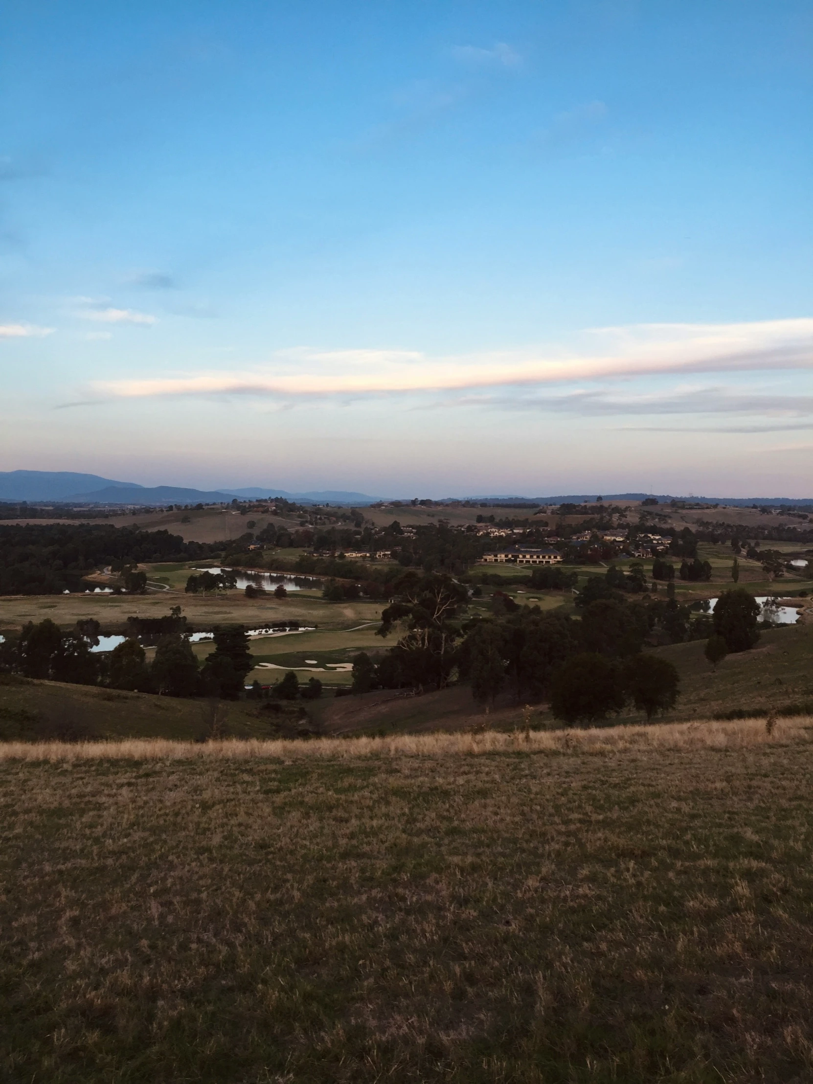 a view of a lush green field next to trees and houses