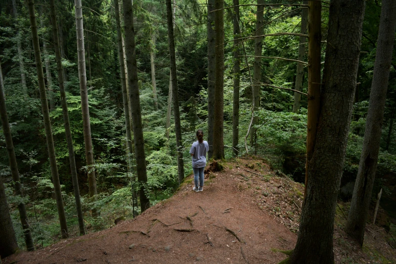 man on trail through a dense forest on dirt path