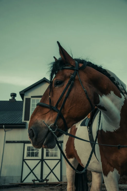 a horse is standing in the dirt next to a barn