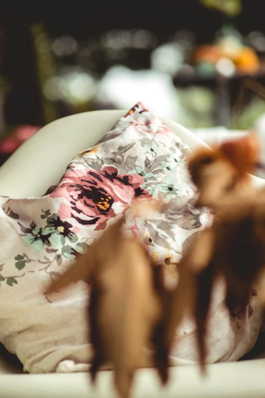 a close up of a chair with a floral print