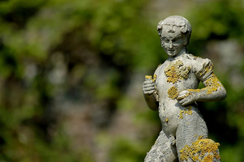a statue has yellow moss on it