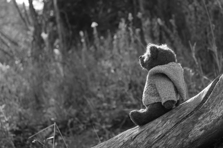 black and white pograph of a teddy bear sitting on a log