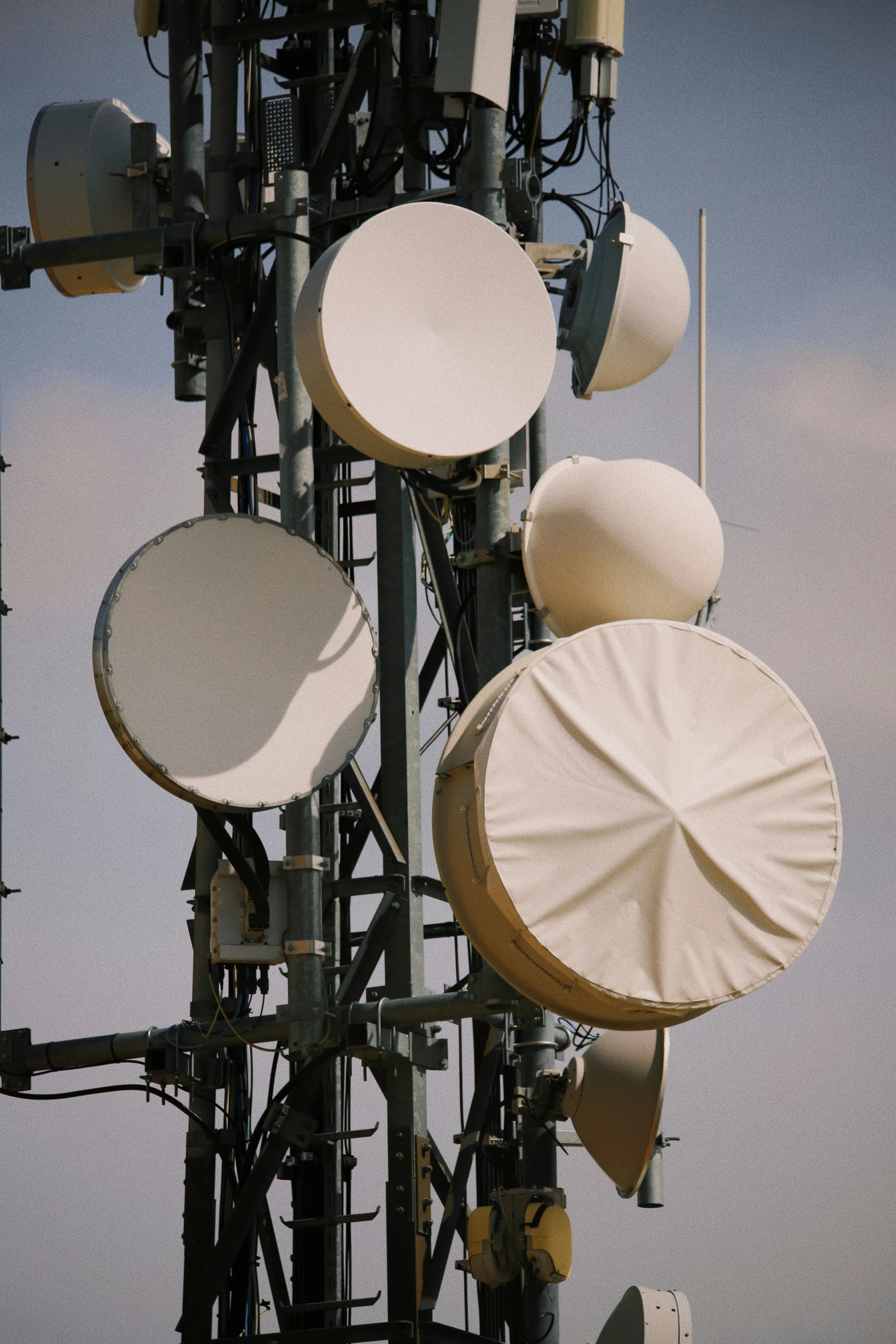 several large white objects attached to the top of a tall pole