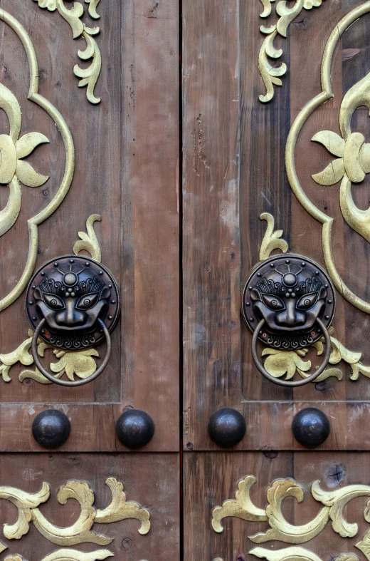 the door with some decorative carvings on it