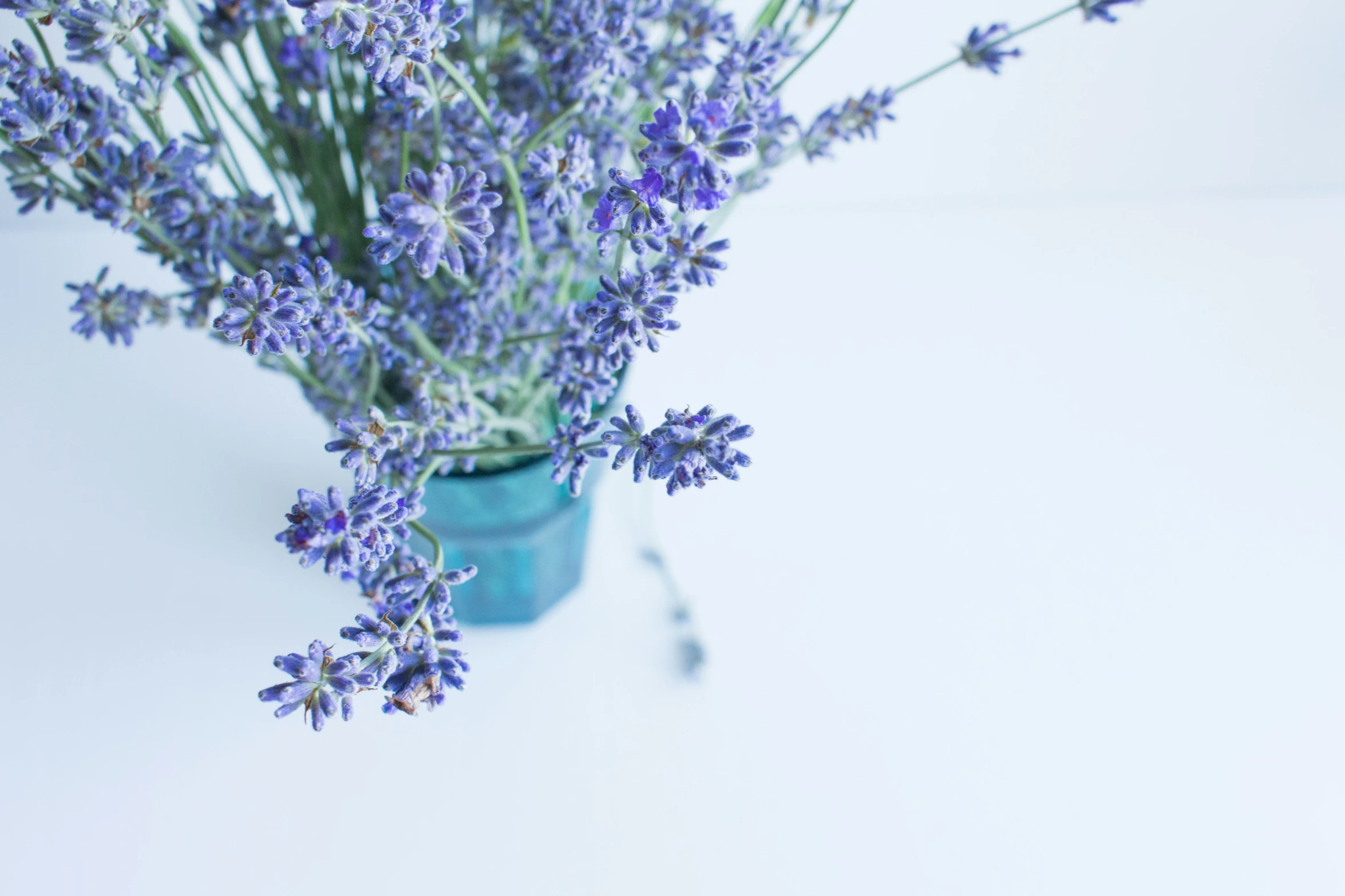 a bouquet of lavender flowers in a blue ceramic vase