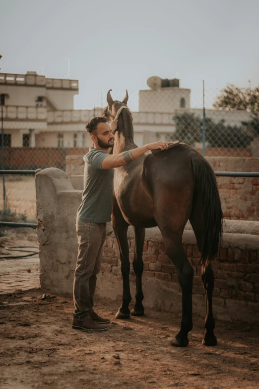 a man petting a horse on top of a stone wall