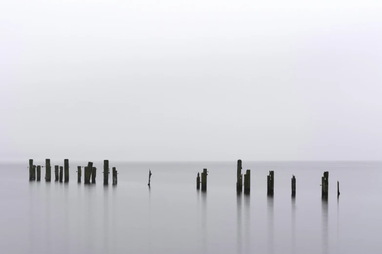 old poles in the water on a foggy day