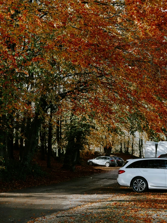 a parked car sits on the driveway near trees in the fall