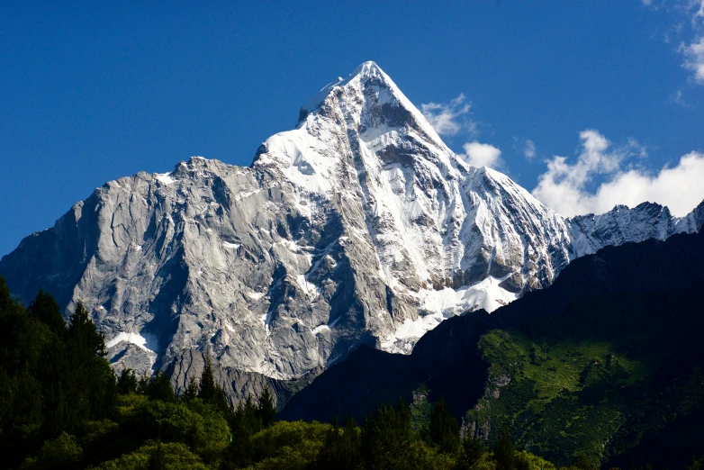 a large snow covered mountain sitting above trees