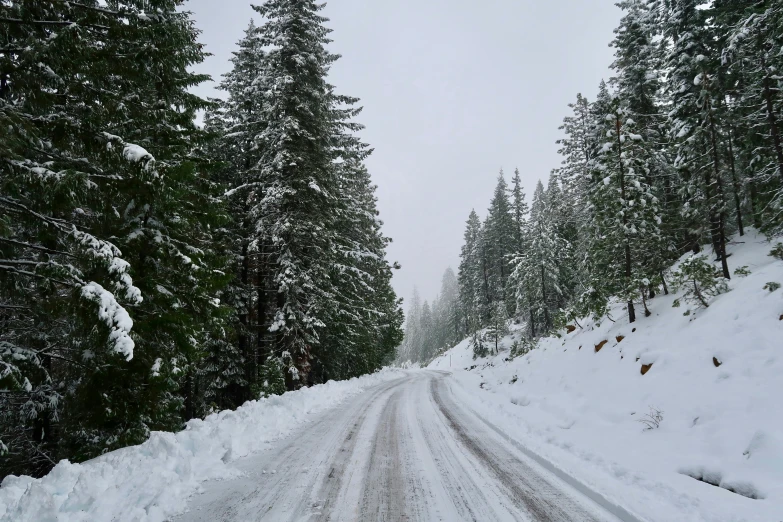 a snow covered road surrounded by some trees